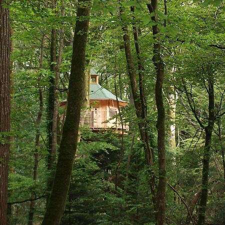 Les Cabanes De Kermenguy Cléder Szoba fotó